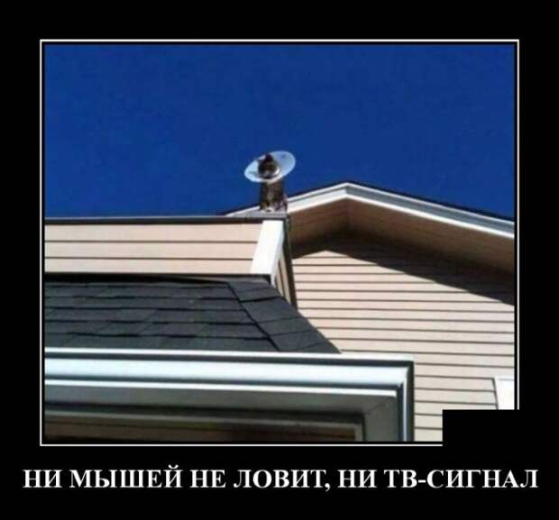 Демотиваторы (20 фото)