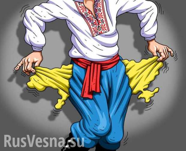 Це Европа: на Украине полностью отменили госрегулирование цен на продукты | Русская весна