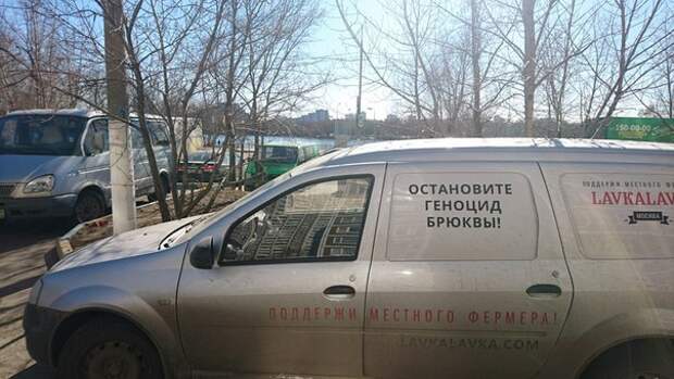 Приколы