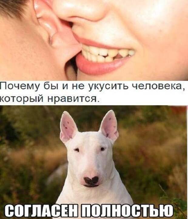 xq1fLRAogbg