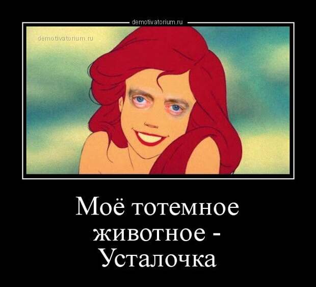 1599721017_demy-6.jpg