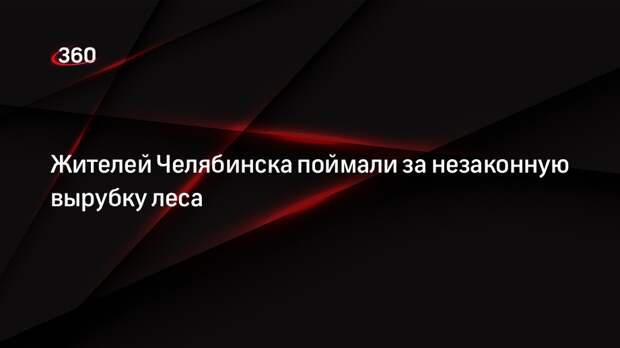 Жителей Челябинска поймали за незаконную вырубку леса