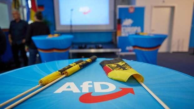 АдГ обходит партию Шольца на выборах в Европарламент в Германии