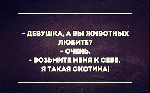 Возьми меня к себе. Девушка вы животных любите возьмите меня. Девушка а вы животных любите возьмите. Возьмите меня я такая скотина. Девушка вы животных любите я такая скотина.