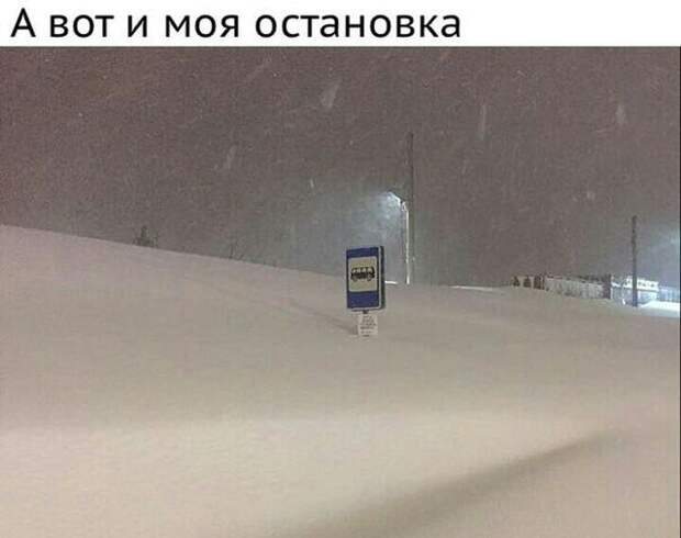 Подборка картинок. Вечерний выпуск (30 фото)