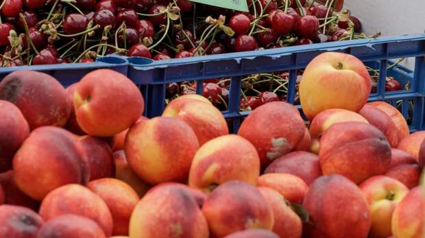 Богатый урожай черешни, персиков и абрикосов представлен на ярмарках выходного дня