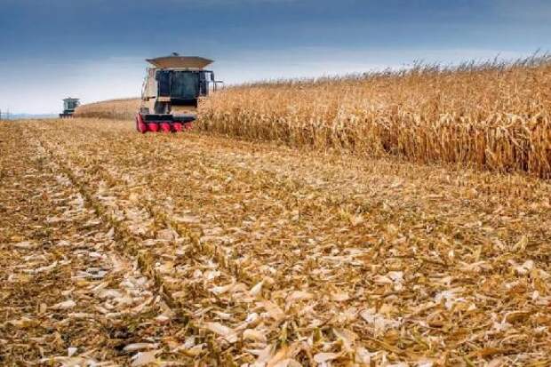 В Тамбовской области в декабре продолжается уборка урожая