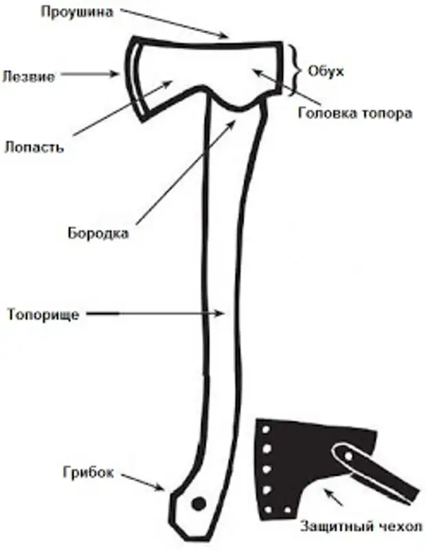 Части топора. Название частей топора. Строение топора криминалистика. Схема топорища для топора. Элементы топора криминалистика.