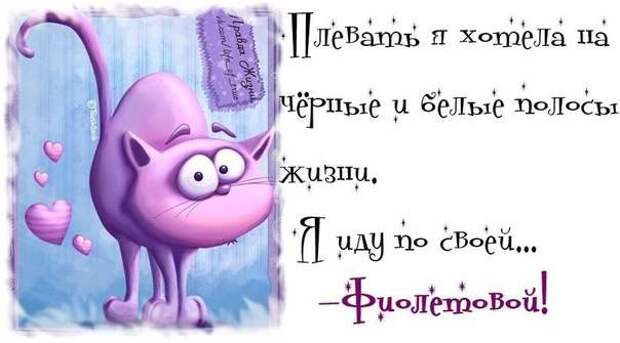 Смешные картинки дня. Правда жизни...