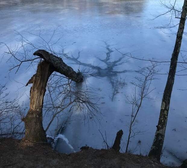 20 фотографий, на которых запечатлено то, с чем раньше вы никогда не сталкивались