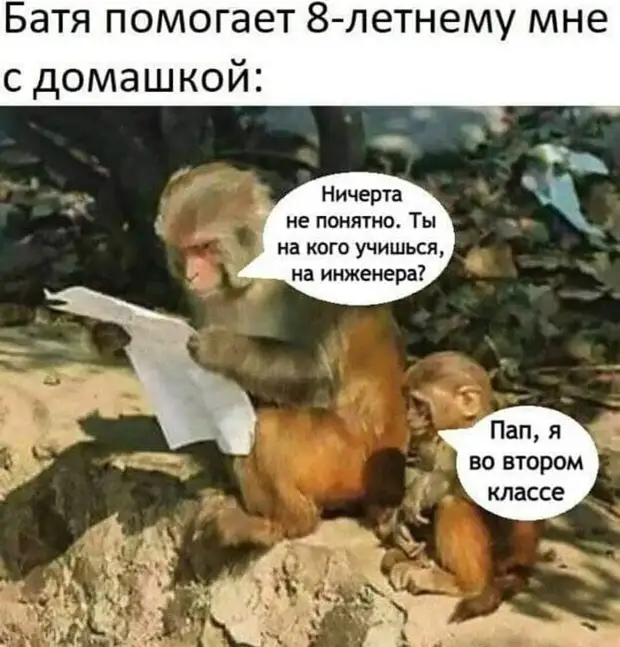 Настоящий друг никогда не спросит: 