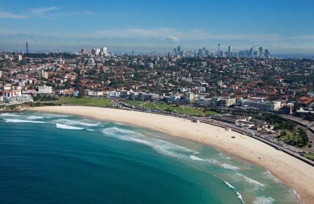На пляжах Австралии купаются только глупцы. Что так пугает людей