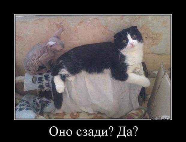 Свежая порция демотиваторов (16 шт)