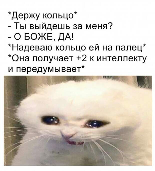 Нестандартный юмор :)