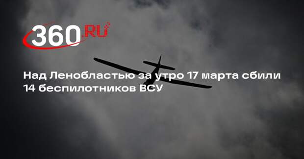 Над Ленобластью за утро 17 марта сбили 14 беспилотников ВСУ
