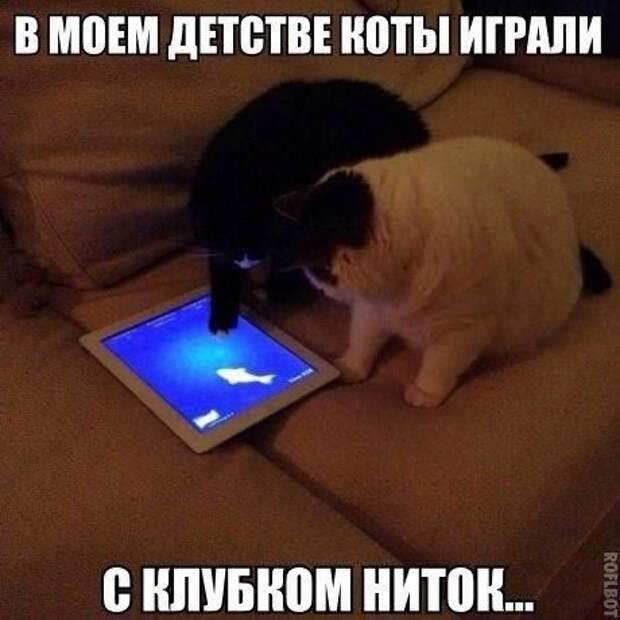 Весёлые картинки