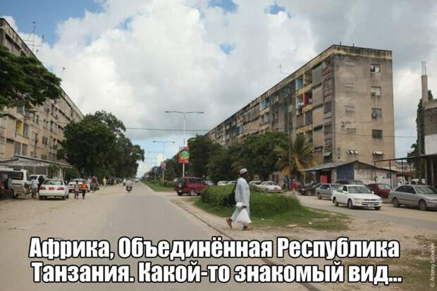 Подборка веселых фото из сетей