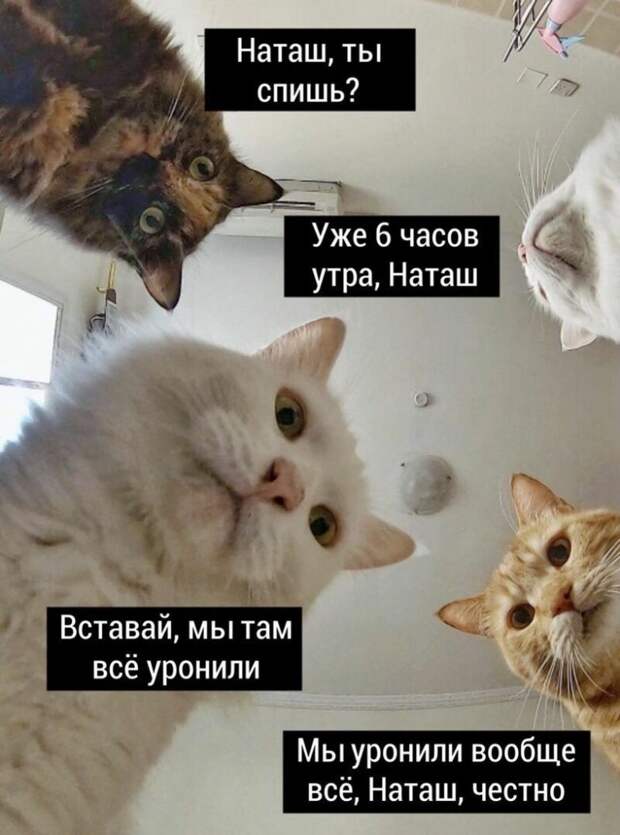 25 убойных приколюшек за последнюю неделю