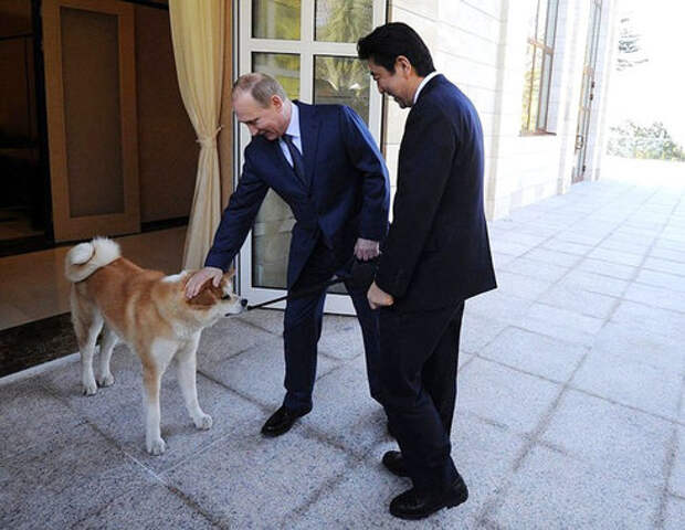 В 2014 г. перед открытием Олимпиады в Сочи Владимир Путин провел несколько встреч с главами государств и правительств, приехавшими на открытие Игр. На встречу с премьер-министром Японии Синдзо Абэ российский президент пришел с Юмэ