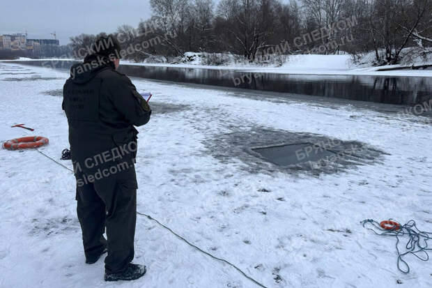 ЛизаАлерт: более 54 тыс. кв. м. обследовали при поиске детей в Брянске