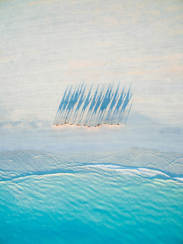 Пляж Cable Beach, Австралия. 2 место в категория «Путешествия». (Фото Todd Kennedy): дрон, природа, фото