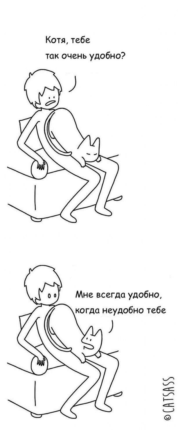 Проблемы жизни с котом в забавном комиксе (33 картинки)