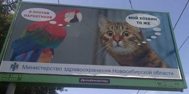 Забавные надписи и объявления