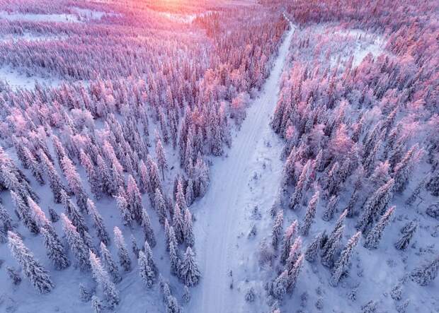 northern-lights-photography-finland-45-584e5d4bcac9e__880