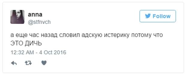 Месть Бонифация: москвичке пришлось вызвать МЧС после того, как кот ночью закрыл её на балконе балкон, животные, кот