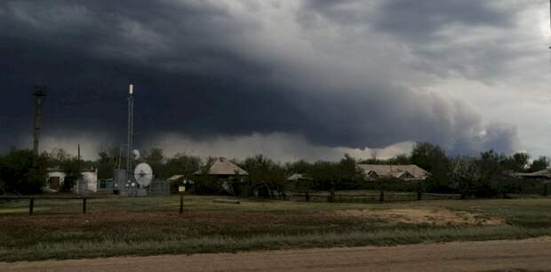 Очевидцы показали кадры с места мощного лесного пожара в Михайловском районе