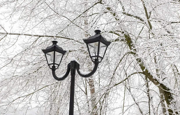 Морозы продолжат набирать обороты: синоптик Ильин рассказал о погоде в Тульской области с 16 по 20 февраля