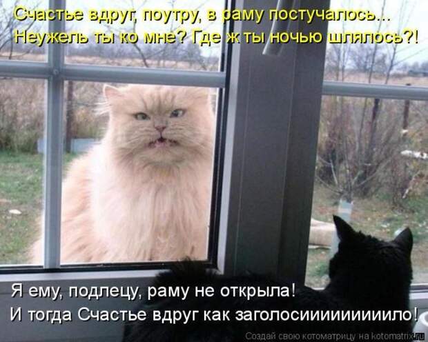 Мысли вслух :)