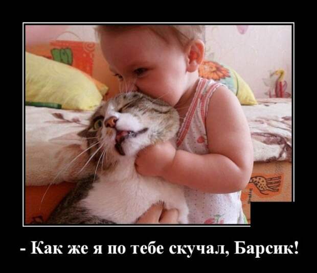 www.vsyako.net