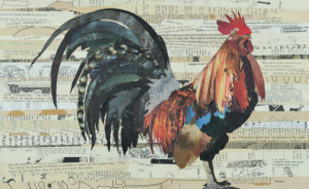 I Repurpose Paper Into Wildlife Collages