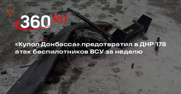 «Купол Донбасса» предотвратил в ДНР 178 атак беспилотников ВСУ за неделю