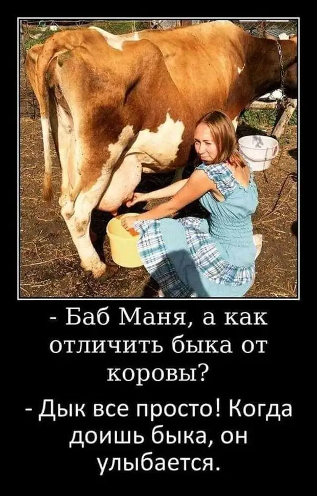 И живёт в голове женщины зверь странный. И заставляет он её творить дела чудные. И нету на того зверя управы. И имя ему — НАСТРОЕНИЕ… И живёт в голове женщины зверь странный. И заставляет он её творить дела чудные. И нету на того зверя управы. И имя ему — НАСТРОЕНИЕ… Сколько, будет, Франции, шерифа, одной, января, работу, уходит, Через, некоторое, время, возвращается, деревце, России, спрашивает, правда, шериф, гадость, абитуриент, беремЗаходит