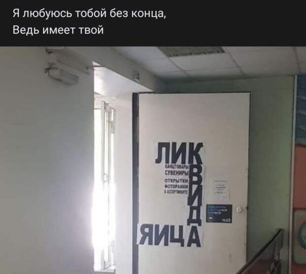 204724_11_trinixy_ru.jpg
