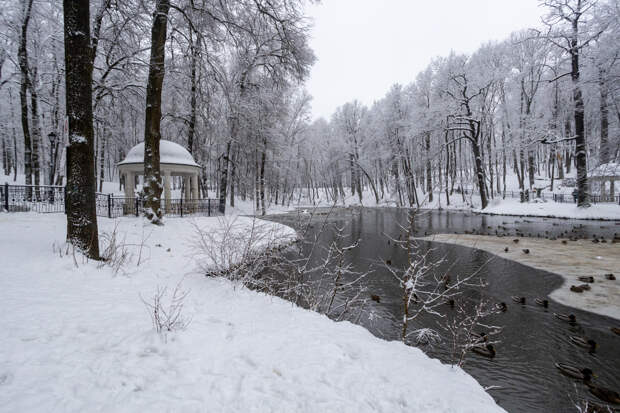 1 января в Туле похолодает до -13 градусов