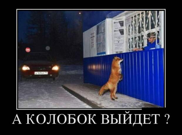 Демотиваторы (30 фото)