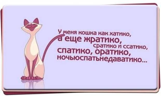 Позитив так и прет...
