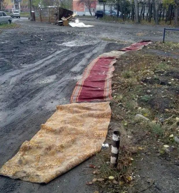 Всяческие фотоприколы