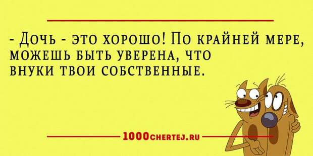 25 добродушных анекдотов в карточках, заряжающие словно батарейки.