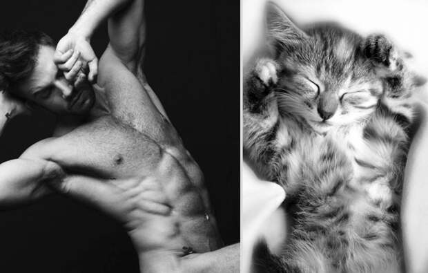 Котики и парни mencats23 Котики и парни