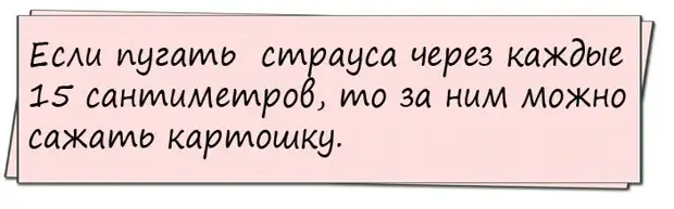 Пассажирский белый пароход терпит крушение в океане. В живых остаются лишь семеро...