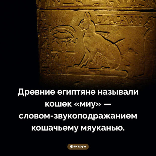 Подборка интересных фактов № 81 Познавательно, Факты, Подборка, Картинка с текстом, Фактрум, Длиннопост