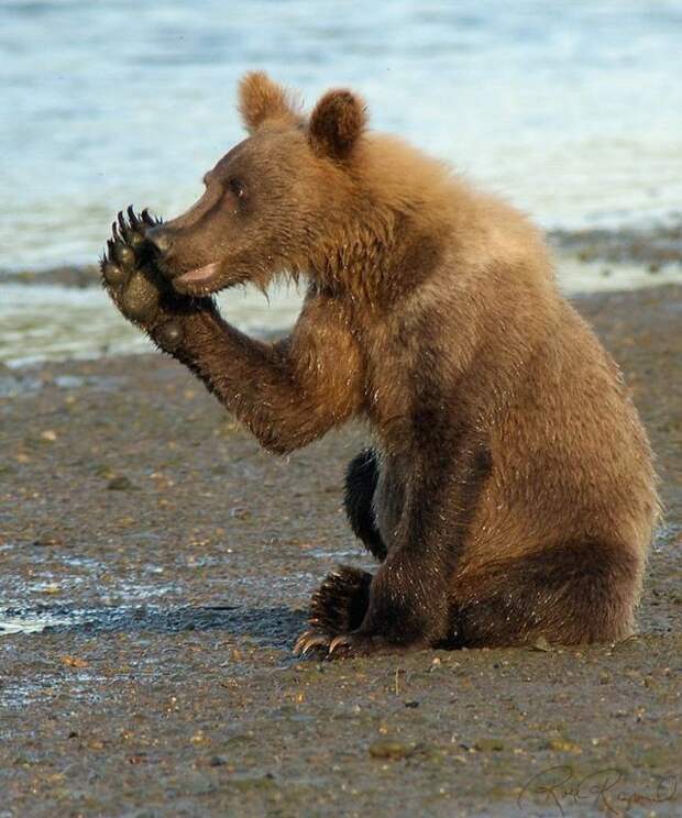 Давайте улыбаться вместе! :) (36улыбок)