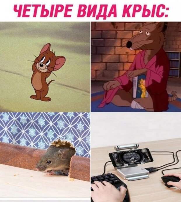 Всякие разные картинки