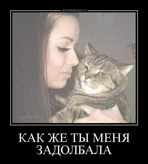 Мем задолбал. Задолбал фото. Ты меня задолбал. Задолбали картинки. Ты меня уже задолбал.