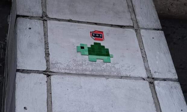 Милая черепашка. Фото Романа Филковского