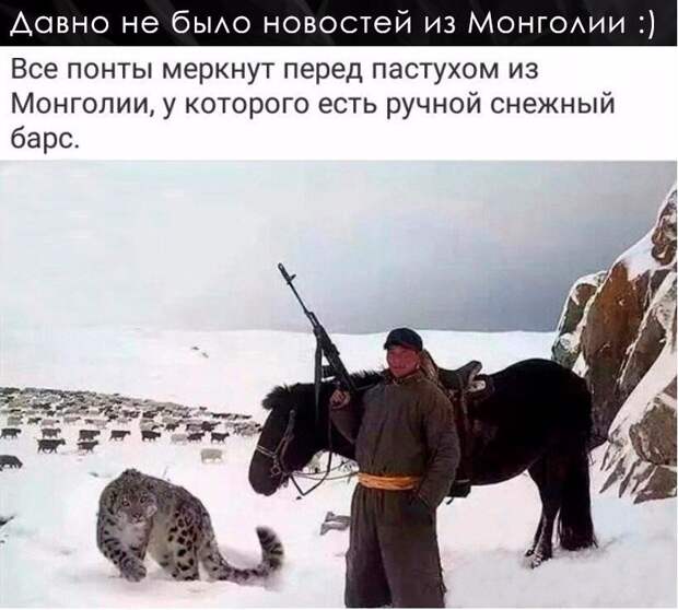 Позитивные картинки с надписями с глубоким смыслом (13 фото)